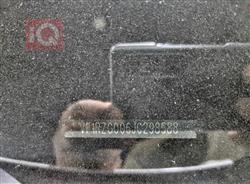 رینۆ کۆلیۆس